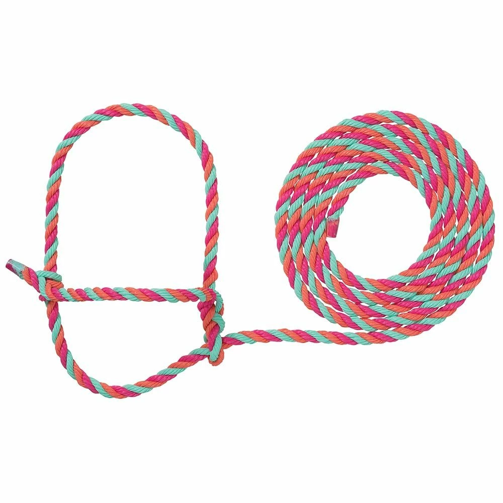 Best deal ๐ Weaver Leather Cattle Rope Halter ๐ 4 Best deal ๐ Weaver Leather Cattle Rope Halter ๐ - Image 2