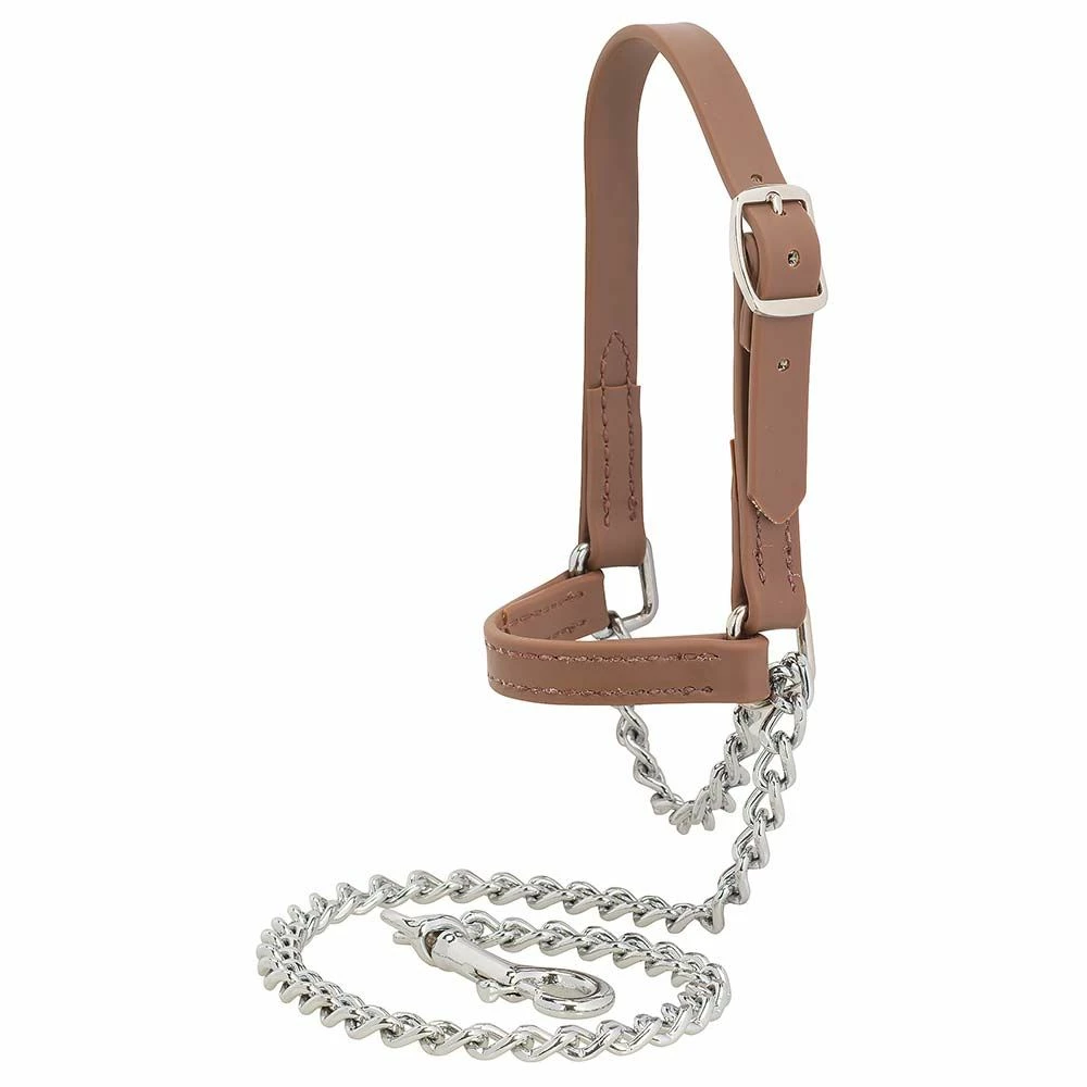 Best Pirce ๐ Weaver Leather Brahma Webb® Goat Halter Large โญ 3 Best Pirce ๐ Weaver Leather Brahma Webb® Goat Halter Large โญ
