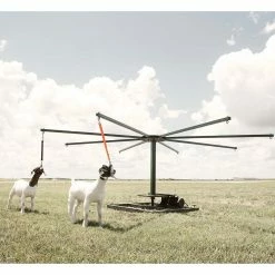 Best reviews of ✔️ Weaver Leather Sheep & Goat Training Halter ⌛ 13 Best reviews of ✔️ Weaver Leather Sheep & Goat Training Halter ⌛ -Livestock Sales 2022 0025620 2