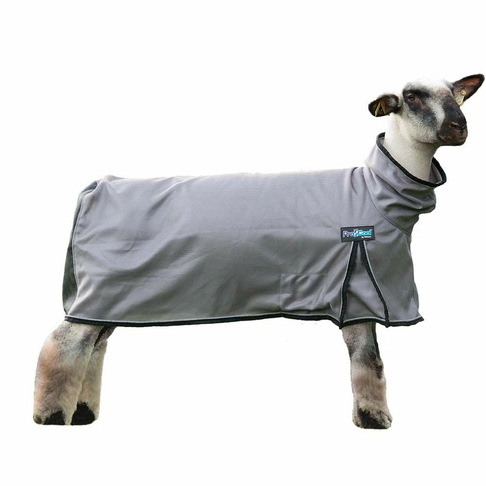 Deals ๐คฉ Weaver Leather ProCool™ Sheep Blanket With Reflective Piping Medium ๐ฏ 3 Deals ๐คฉ Weaver Leather ProCool™ Sheep Blanket With Reflective Piping Medium ๐ฏ