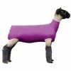 Best reviews of 🎁 Weaver Leather Spandex Sheep Tube Large 👏 -Livestock Sales 2022 0025634 2