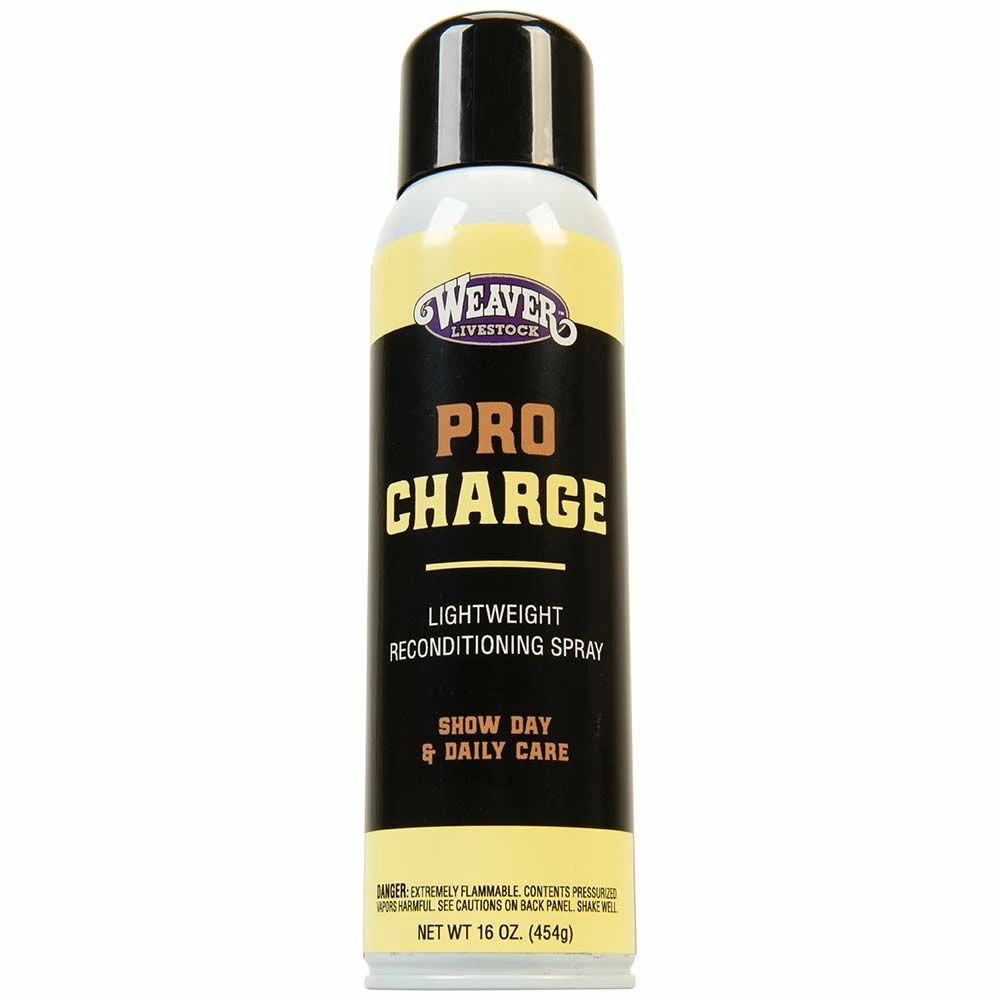 Best reviews of βοΈ Weaver Leather ProCharge Aerosol Reconditioning Spray π€© 3 Best reviews of βοΈ Weaver Leather ProCharge Aerosol Reconditioning Spray π€©