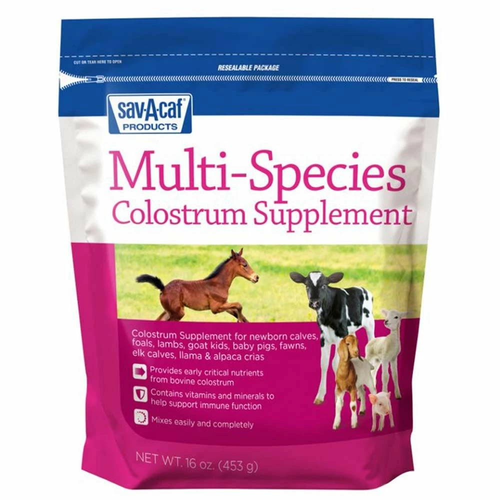 Top 10 😀 Sav-A-Caf Multi-Species Colostrum Supplement 16 Oz. 🎁 3 Top 10 😀 Sav-A-Caf Multi-Species Colostrum Supplement 16 Oz. 🎁