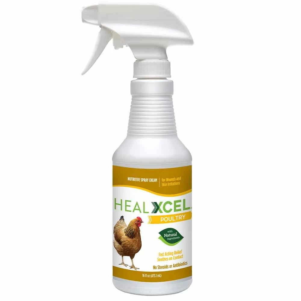 Promo ✨ Heal Xcel Poultry Poultry Wound Spray 🎁 3 Promo ✨ Heal Xcel Poultry Poultry Wound Spray 🎁