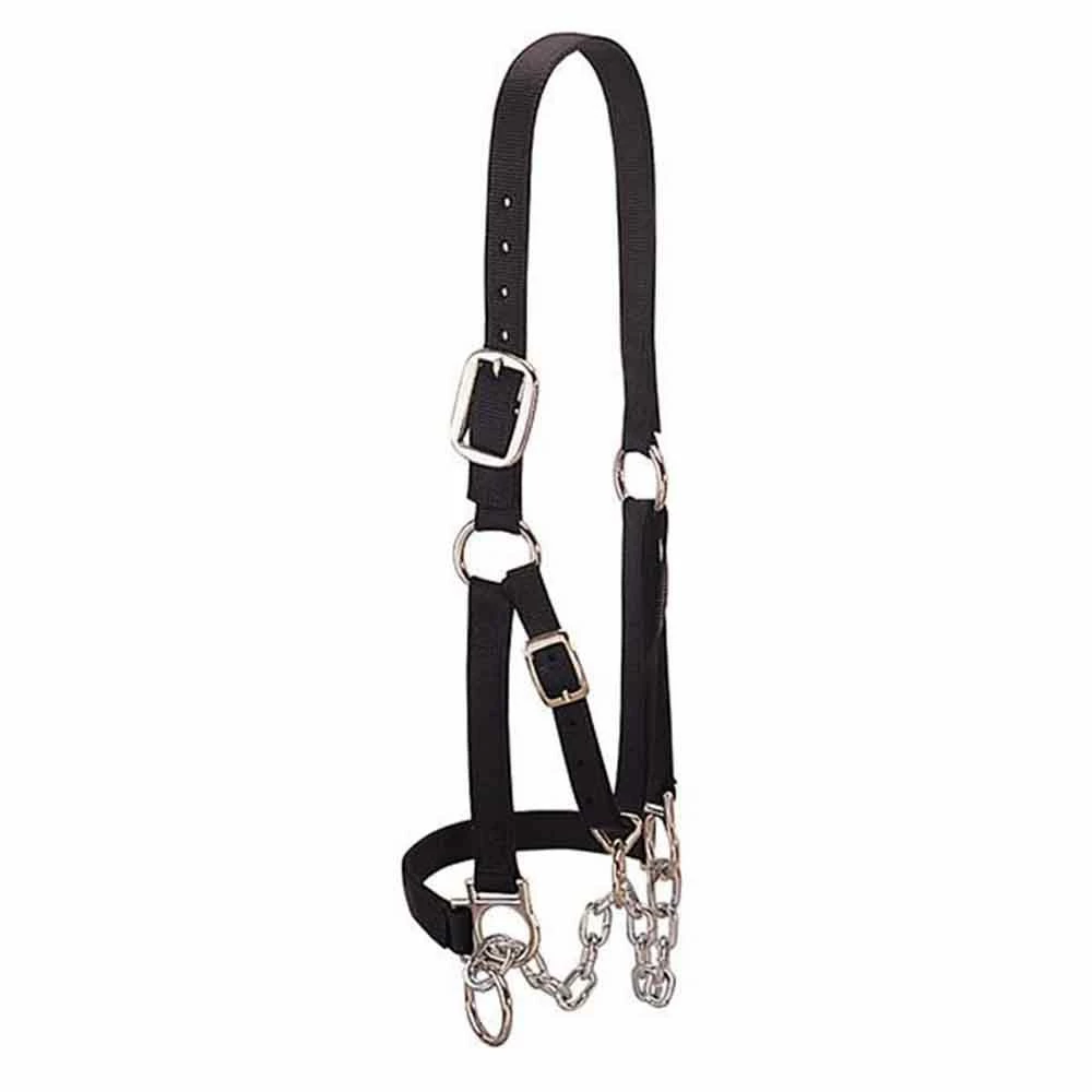 Buy π Weaver Leather Heavy-Duty Restraint Halter β 3 Buy π Weaver Leather Heavy-Duty Restraint Halter β