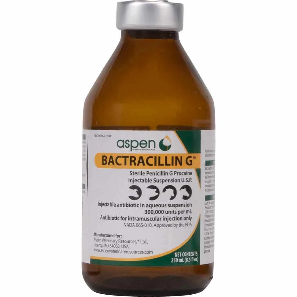 Hot Sale โ Aspen Veterinary Resource Penicillin Pen G 250 Cc ๐ 3 Hot Sale โ Aspen Veterinary Resource Penicillin Pen G 250 Cc ๐