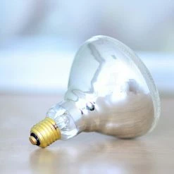 Buy ๐ฏ Country Tuff® Heat Bulbs ๐ 7 Buy ๐ฏ Country Tuff® Heat Bulbs ๐ -Livestock Sales 2022 3800017 2