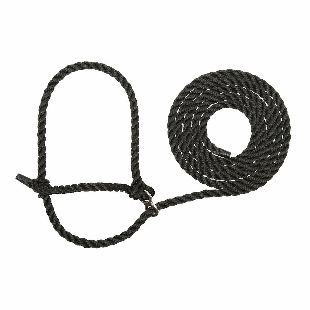 Buy ๐ Weaver Leather Stierwalt Breaking Halter ๐ฏ 6 Buy ๐ Weaver Leather Stierwalt Breaking Halter ๐ฏ - Image 4