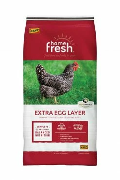 Best Pirce ⌛ Kent Nutrition Home Fresh® Extra Egg™ Layer Crumble 50 Lbs. 😀