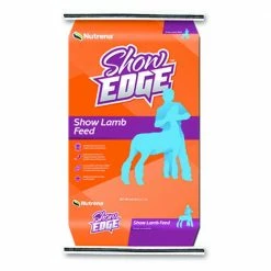 Budget 💯 Show Edge Lamb Feed 🥰