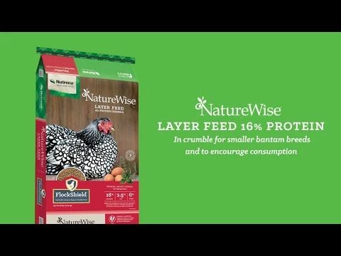 Discount ⭐ Nutrena NatureWise® Layer 16% Crumble Non Medicated Poultry Feed 40 Lb. 👏 4 Discount ⭐ Nutrena NatureWise® Layer 16% Crumble Non Medicated Poultry Feed 40 Lb. 👏 - Image 2