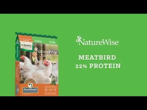 Buy ๐ Nutrena NatureWise® 22% Meatbird Non Medicated 40 Lb. ๐ 4 Buy ๐ Nutrena NatureWise® 22% Meatbird Non Medicated 40 Lb. ๐ - Image 2