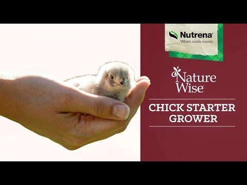 Top 10 โค๏ธ Nutrena NatureWise Non-Medicated Chick Starter 7 Lb. ๐ 4 Top 10 โค๏ธ Nutrena NatureWise Non-Medicated Chick Starter 7 Lb. ๐ - Image 2