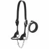 Promo π Weaver Leather Show Halter For Dairy Or Beef βοΈ 2 Promo π Weaver Leather Show Halter For Dairy Or Beef βοΈ -Livestock Sales 2022 img10856525