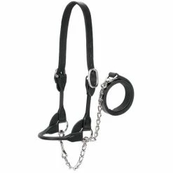 Promo 😉 Weaver Leather Show Halter For Dairy Or Beef ✔️