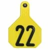 Wholesale 🔔 Y-Tex® 2-Piece Large Yellow Ear Tags 1-25 🛒 -Livestock Sales 2022 img11197145