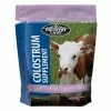 New ✔️ Country Lane Colostrum Supplement 16 Oz 🔥 -Livestock Sales 2022 img11903040
