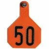Buy 🔥 Y-Tex® 2-Piece Large Orange Ear Tags 26-50 👏 -Livestock Sales 2022 img9653028