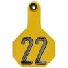 Best reviews of ๐งจ Y-Tex® 2-Piece Medium Yellow Ear Tags 1-25 โค๏ธ 2 Best reviews of ๐งจ Y-Tex® 2-Piece Medium Yellow Ear Tags 1-25 โค๏ธ -Livestock Sales 2022 img9653032